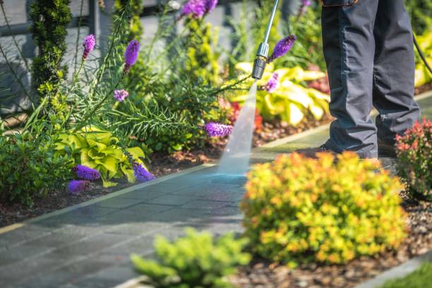 Best Commercial Pressure Washing in Maypearl, TX